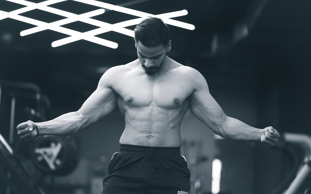 Anatomy of male pelvic floor muscles
